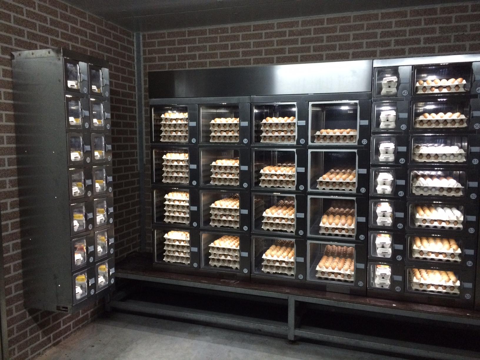 Distributeur automatique d\'oeufs